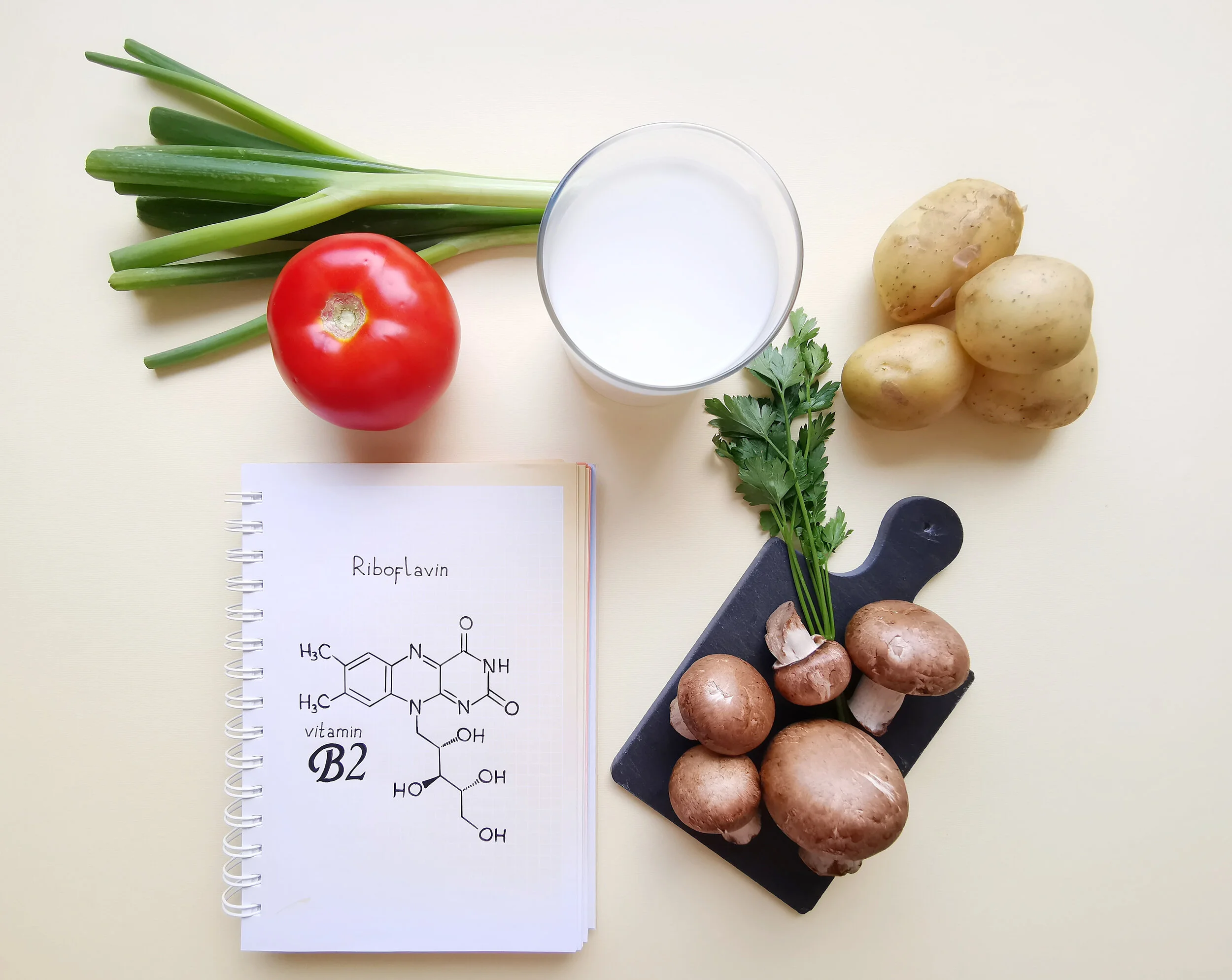 腸腦軸線：益生元與後生元的情緒調節力