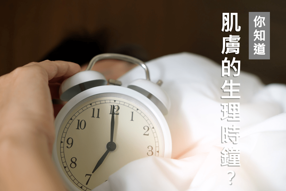 生理時鐘與代謝修復：透過優化光照環境與進食時間，降低慢性發炎風險，啟動細胞自我修復機制