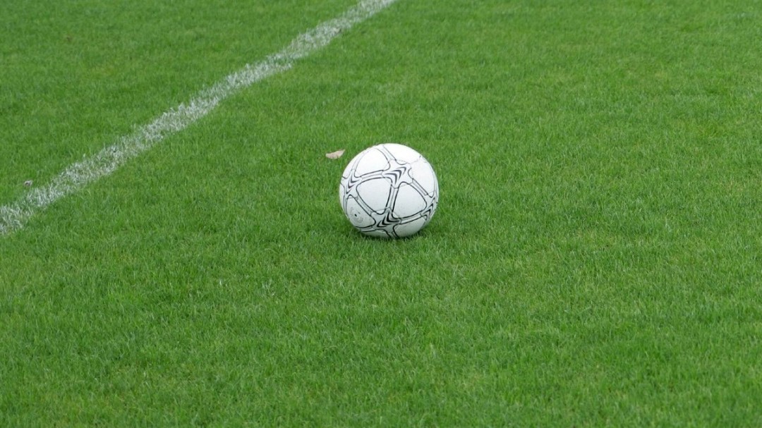 比卖票还狠！FIFA预售世界杯决赛场地草皮 每块450美元